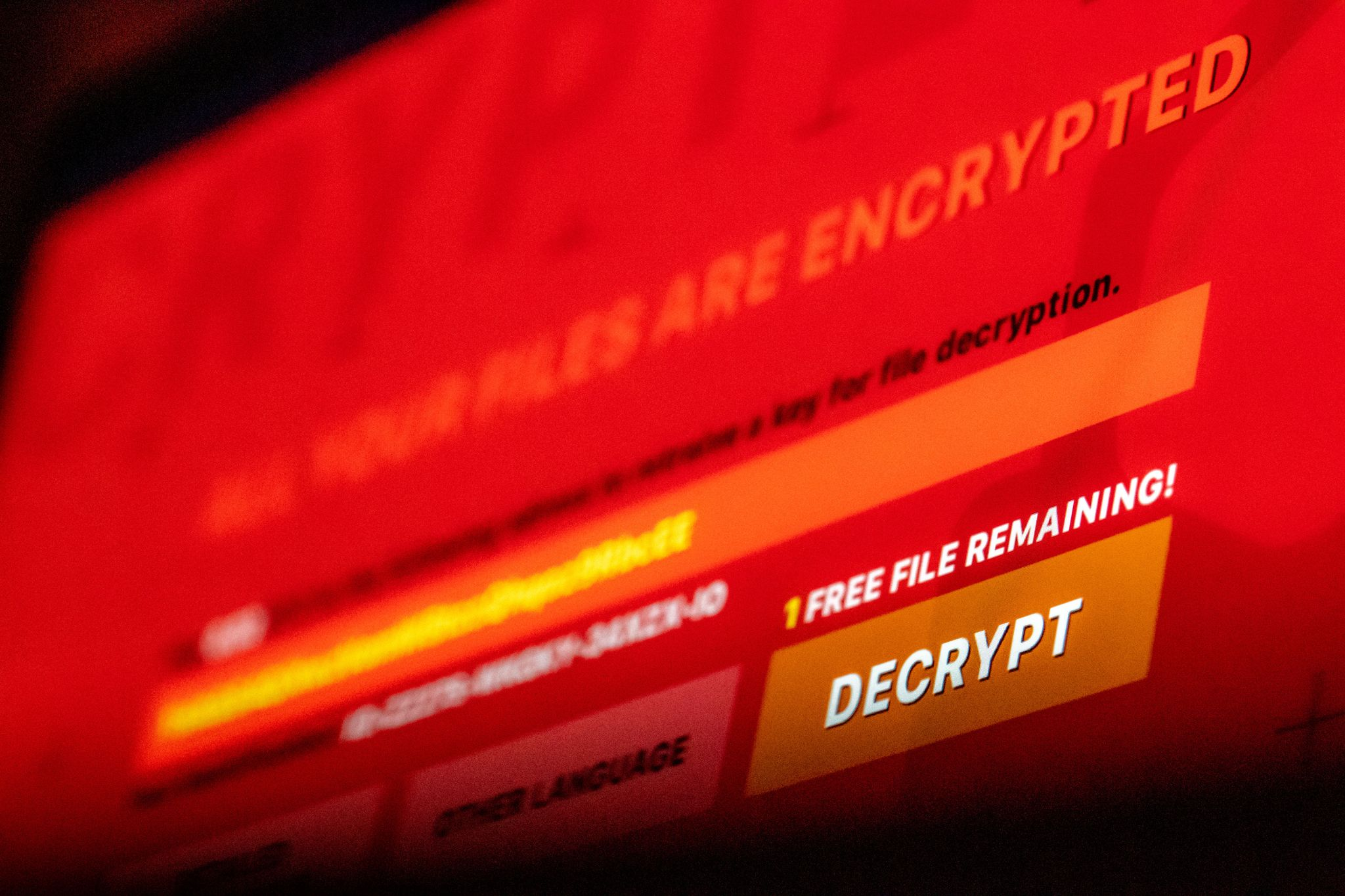 Ermittler zerschlagen Blacksuit-Netzwerk: 184 Opfer