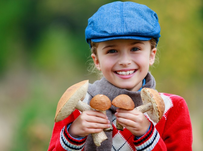 Grzyby obfitują w wodę