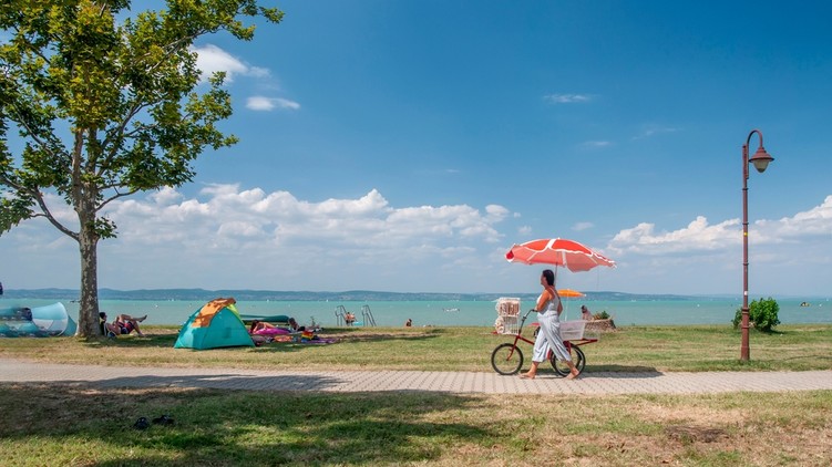balaton, büfé, nébih, ellenőrzés
