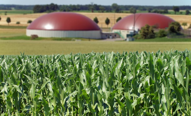 Biogaz i biometan źródłem zielonej bioenergii