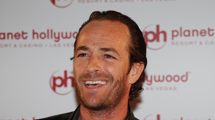 Luke Perry ruháit kérésére gombaspórákkal szórták be, hogy hamar lebomoljon /Fotó: Northfoto