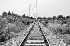 Gdzie chrześcijanie żywią muzułmanów. Serbska Subotica, przystanek w drodze do euroraju