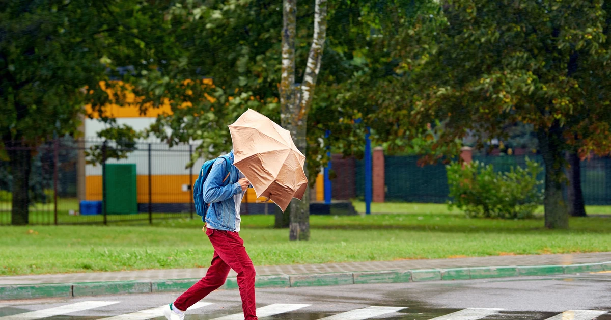 Silny wiatr zaatakuje Polskę. IMGW zapowiada alerty, a porywy sięgną 80 km/h. Gdzie będzie najgorzej?