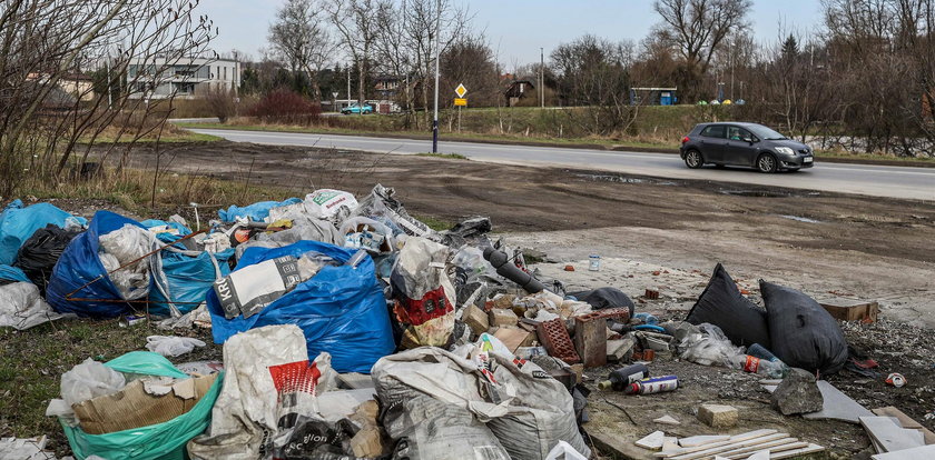 Wstrząsające znalezisko na śmietniku. Tak pozbyli się żółwia