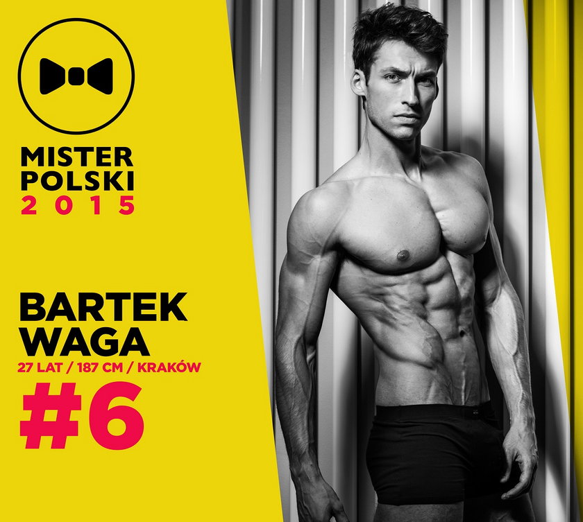 Mister Polski 2015