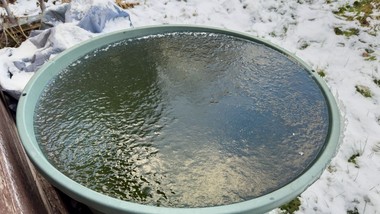 4000 zł na deszczówkę. nabór wniosków rusza już 15 stycznia