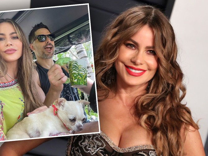 Sofija Vergara pristala da pas pripadne Džou Manganijelo, ali ne da svoj novac