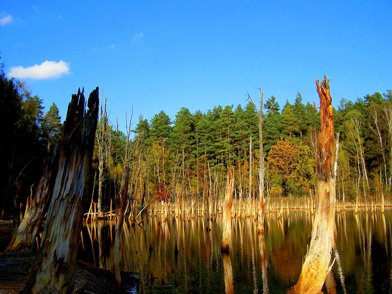 Geopark Łuk Mużakowa