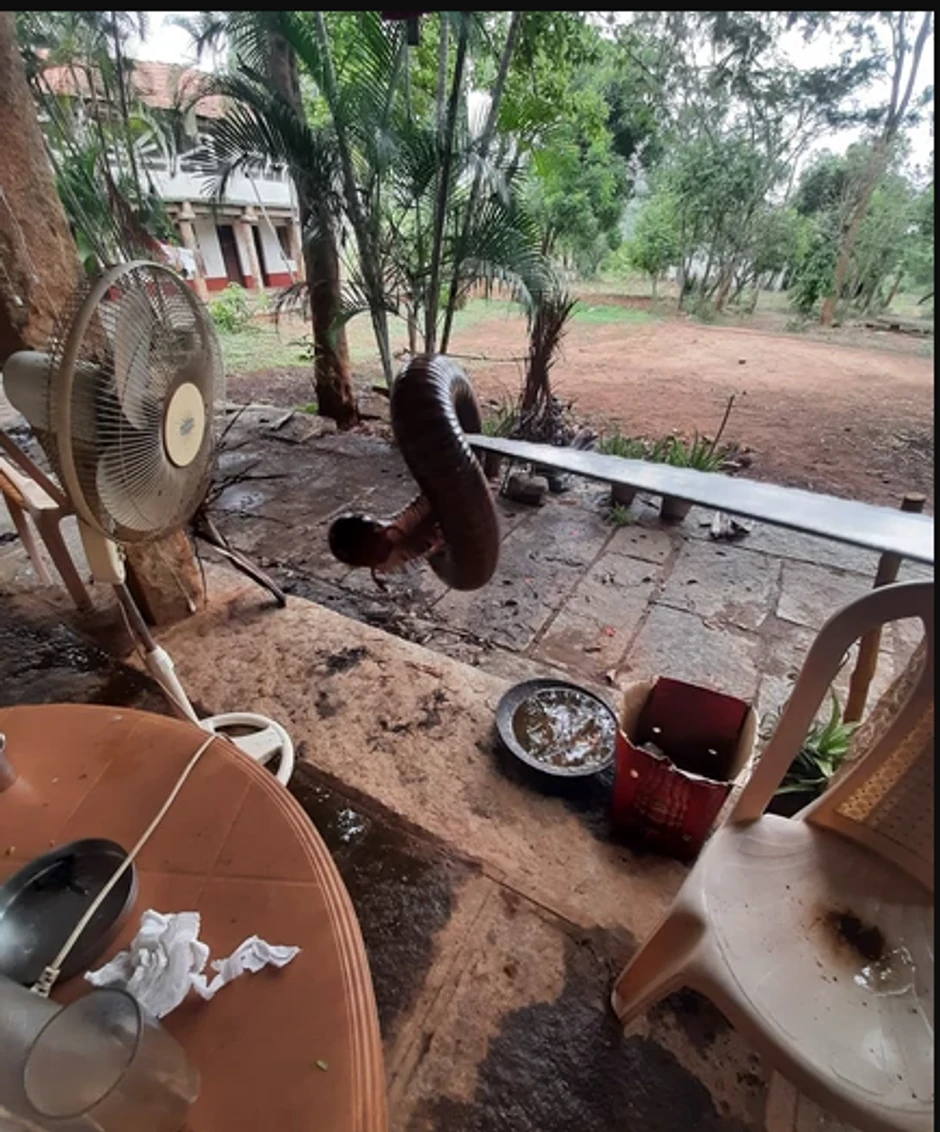 Kristian Al-Droubi Indija