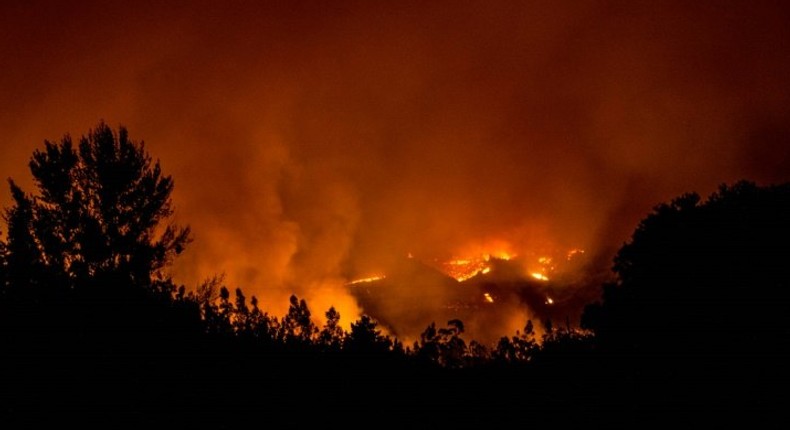 Firefighter dies after getting stuck while trying to help a family escape from their home furing a forest fire near the city of Constitucion