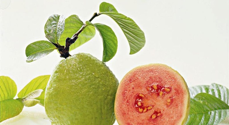 The leaves deserve a much higher priority in your meal plan than the guava fruits.