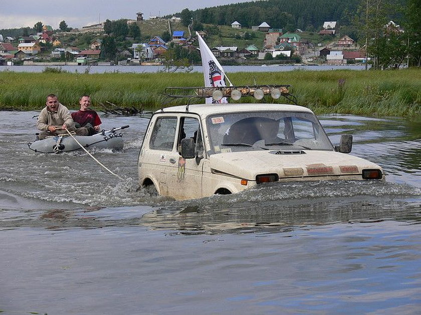 Bydło nad jeziorem