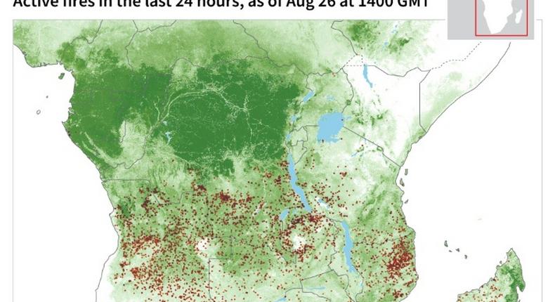 Active fires in sub-Saharan Africa over the last 24 hours.