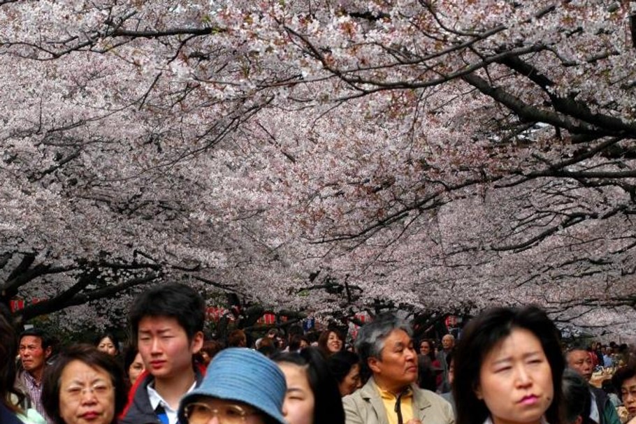 Japonia, Kraj Kwitnącej Wiśni