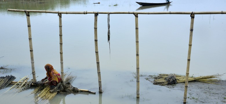 Powodzie w Indiach, Nepalu i Bangladeszu. Co najmniej 700 ofiar śmiertelnych
