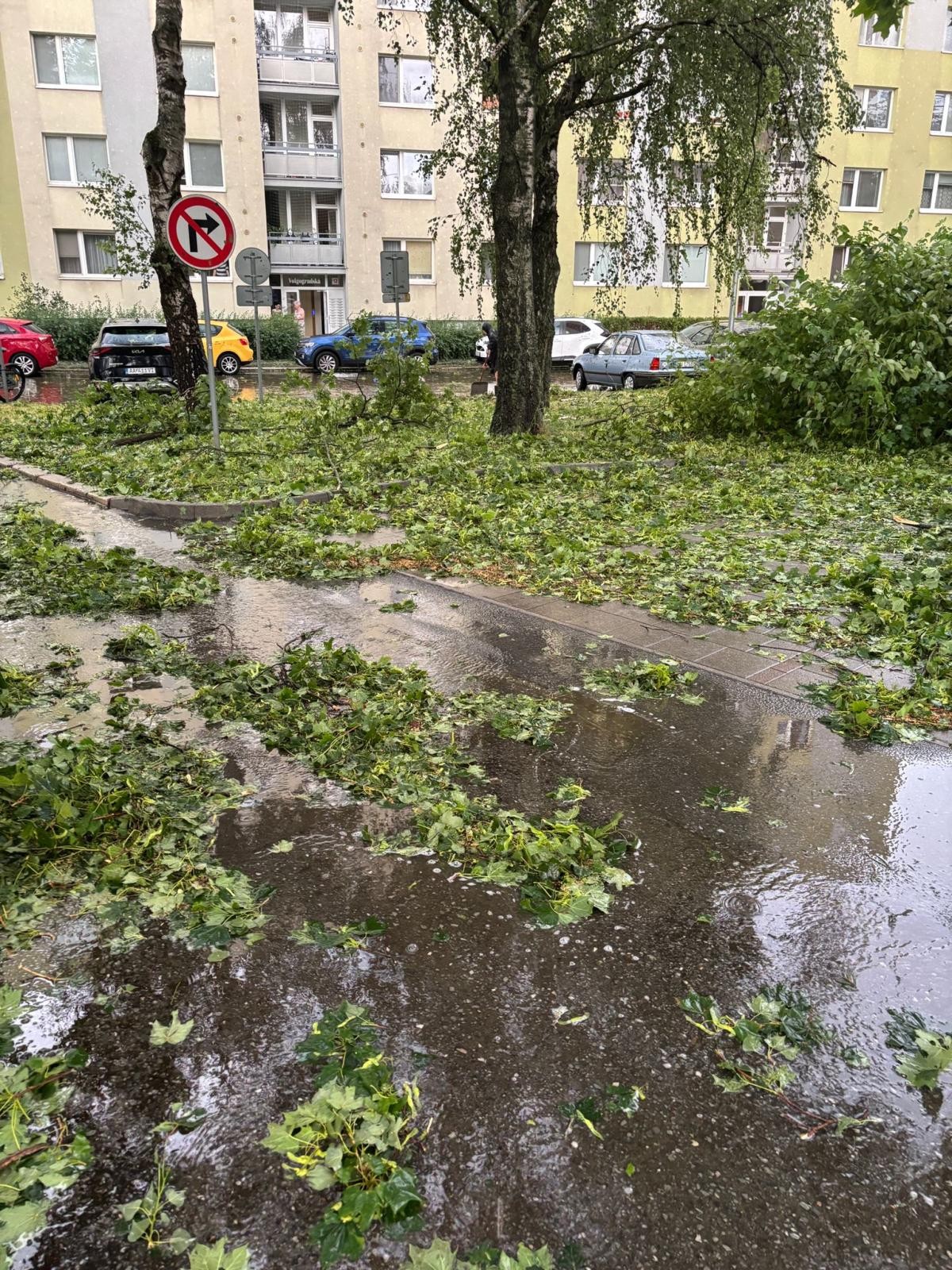 Mesto Prešov pokračuje v odstraňovaní škôd po búrke. 
