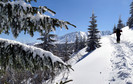 ZAKOPANE TATRY POGODA ŚNIEG (szlak na Halę Gąsienicową)