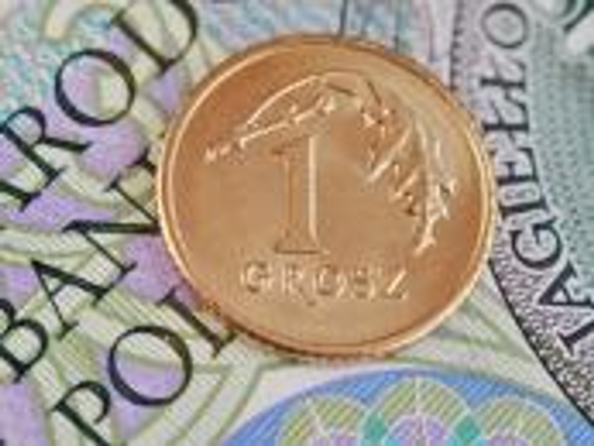 Dyrektor izby skarbowej uznał, że usługi wykonywane przez spółkę to świadczenie kompleksowe, stanowiące całość z ekonomicznego punktu widzenia