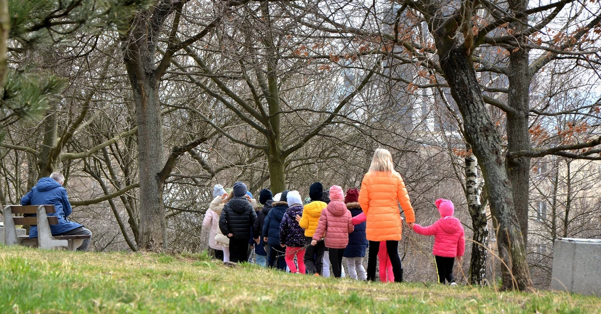 Wynagrodzenie za wycieczki szkolne. Jest nowe stanowisko MEN w tej sprawie