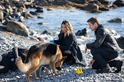 Kryminalny hit powrócił. Nowa wersja kultowego serialu zaskoczyła