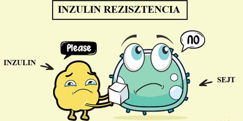 Inzulin rezisztencia