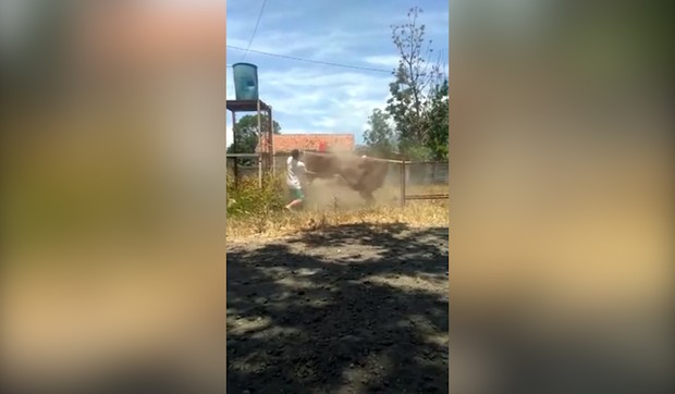 YT_kad_momci_ciste_tepihe_vesti_blic_safe