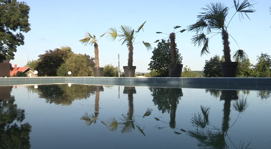 Maja i Alen Hadrović