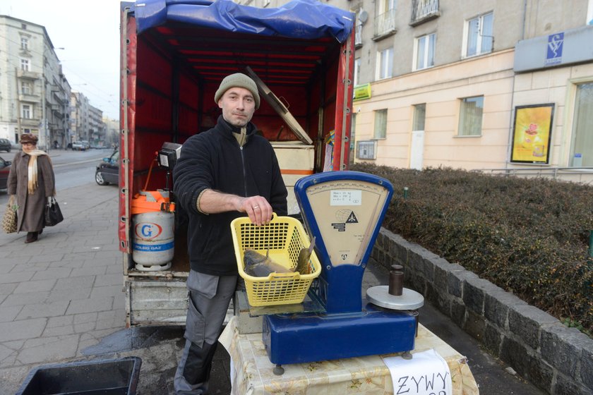 Przy ul. Nowowiejskiej we Wrocławiu kupimy karpia