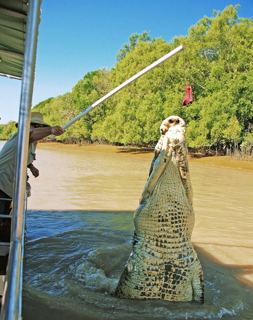 Predator dug skoro pet metara