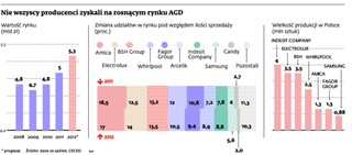 Rynek AGD w Polsce mocno rośnie. Sprawdź, kto zyskał najwięcej