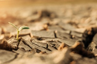 Badanie: do końca XXI w. liczba ludzi doświadczających ekstremalnych susz podwoi się