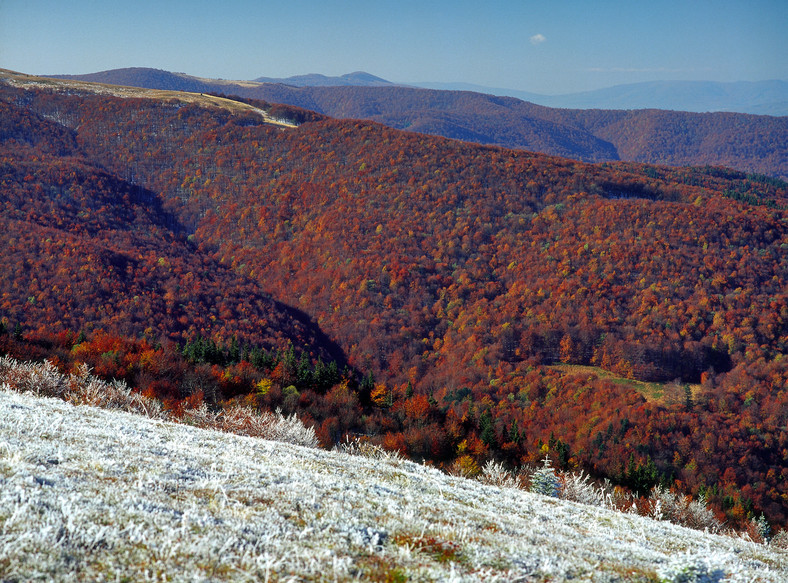 Widok z Bukowego Berda, Bieszczady