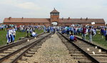 Przyjechali na ŚDM. Zniszczyli Bramę Śmierci w Auschwitz