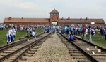 Przyjechali na ŚDM. Zniszczyli Bramę Śmierci w Auschwitz