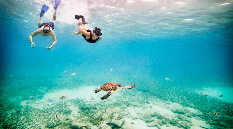 Már egészen kis lépésekkel is sokat tehetsz a bolygóért Fotó: Getty Images