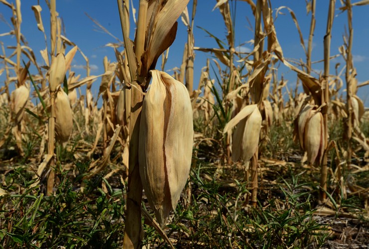 Upały na świecie - USA