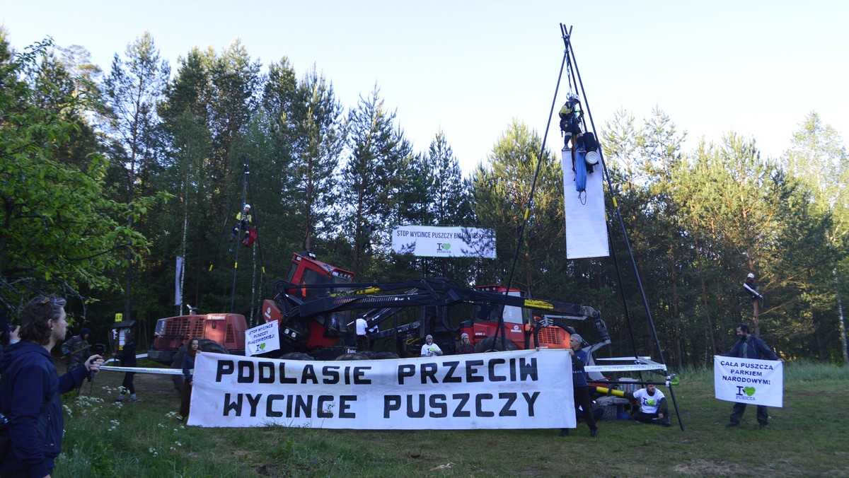 Policja rozpoczęła wzywanie osób protestujących w Puszczy Białowieskiej w celu postawienia im zarzutów. Przesłuchany został w tej sprawie m.in. Adam Bohdan, aktywista Dzikiej Polski. Hajnowska policja skierowała do sądu wnioski o ukaranie jego i 16 osób innych, blokujących maszyny w Puszczy Białowieskiej.