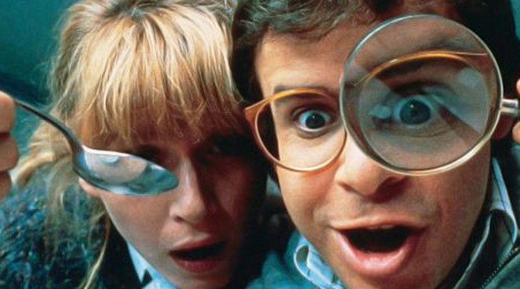 A Drágám, a kölykök összementek dilinyós profja: Rick Moranis) (Fotó: RAS-archív)