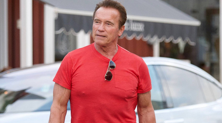 Arnold Schwarzenegger / Fotó: Northfoto