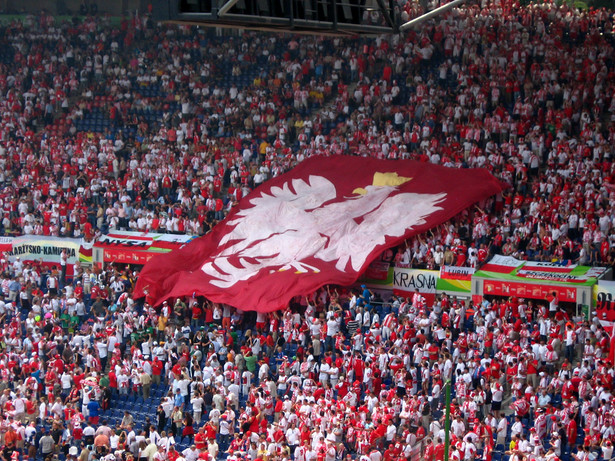 Polscy kibice na stadionie, fot. RAFAl FABRYKIEWICZ / Shutterstock.com