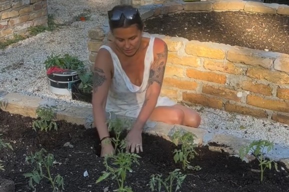 VILA U ŠUMI VREDI MILIONE Ovo je imanje Elene Karaman na Kosmaju: U dvorištu ogroman bazen i letnjikovac, a pored kuće zasadila bilje (Video)