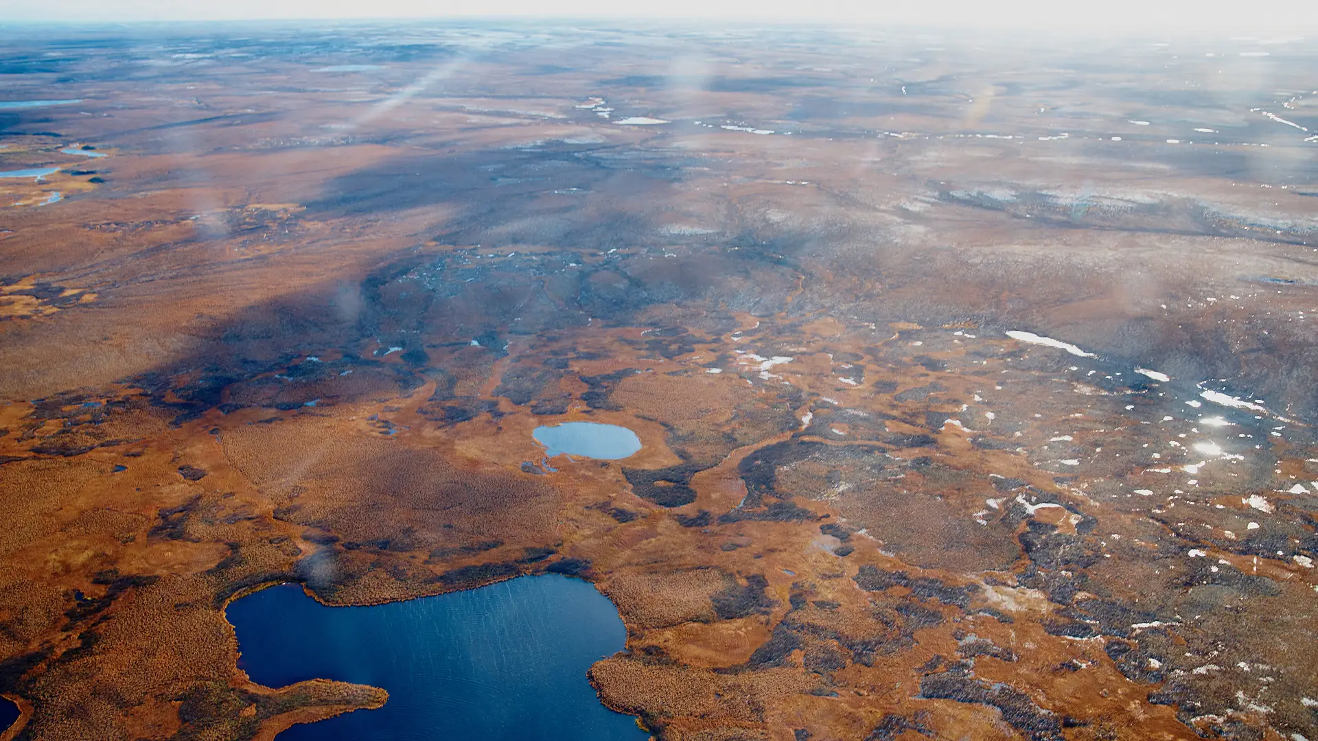 Tundra syberyjska może zniknąć do połowy tysiąclecia