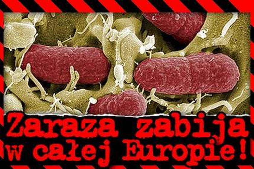 Zaraza zabija w całej Europie! Zobacz, czego unikać!