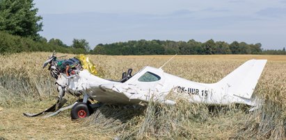 Pijany Polak rozbił awionetkę?