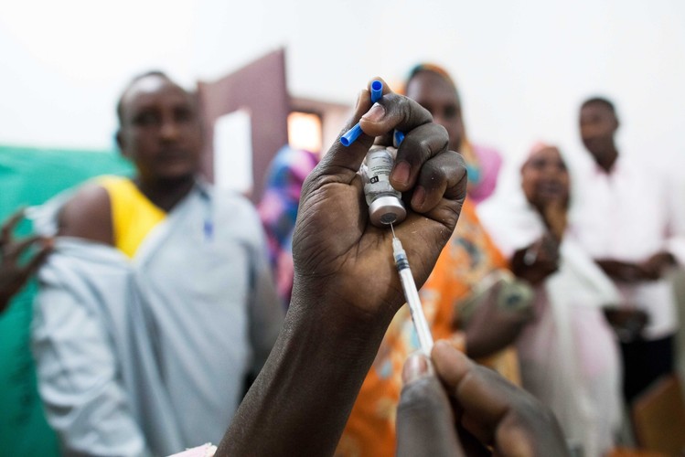 Żółta febra atakuje, jest coraz groźniejsza