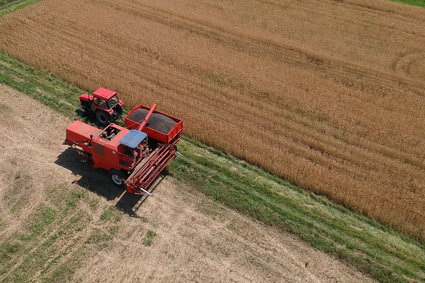 Polski rolnik będzie mocniejszy. Rząd przyjął nowe przepisy