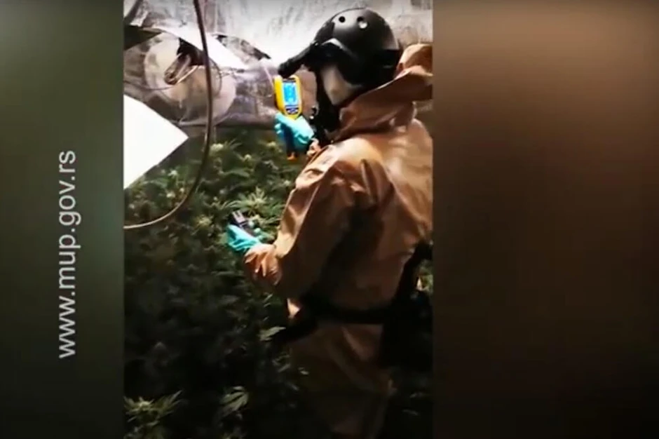 Laboratorija za uzgoj marihuane pronađena u Kragujevcu