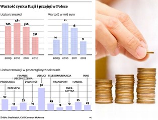 Prywatyzacja Energi: doradcy szykują ofertę firmy