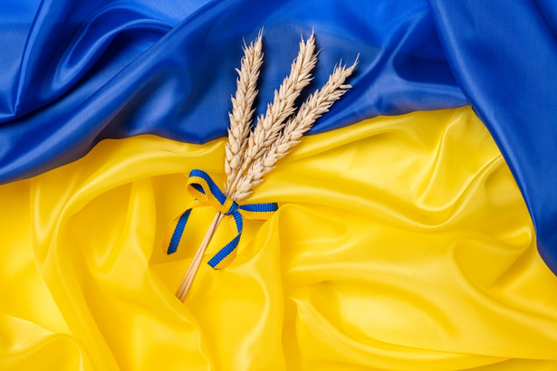 Ukraińskie zboże