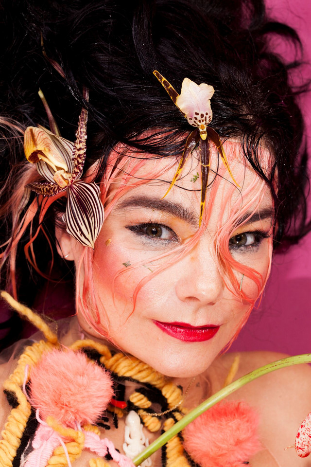 Bjork